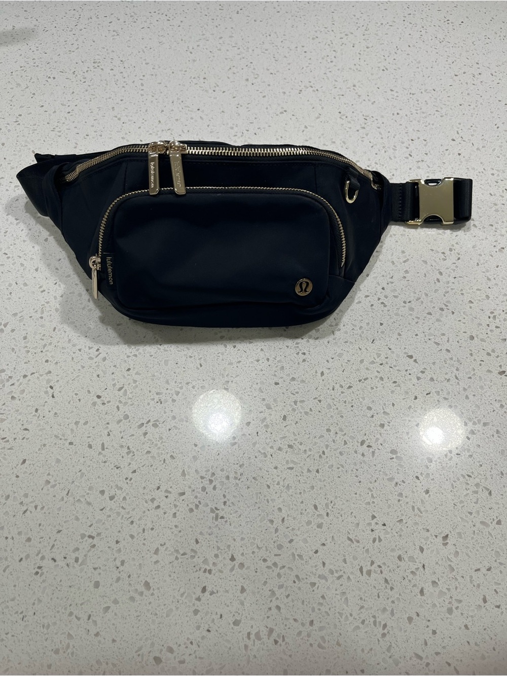 Everywhere Belt Bag Extra Large 4L
Gold Metal Hardware